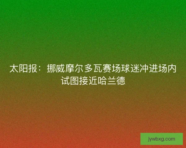 太阳报:挪威摩尔多瓦赛场球迷冲进场内试图接近哈兰德 太阳报:挪威摩尔多瓦赛场球迷冲进场内试图接近哈兰德