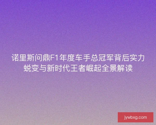 诺里斯问鼎F1年度车手总冠军背后实力蜕变与新时代王者崛起全景解读